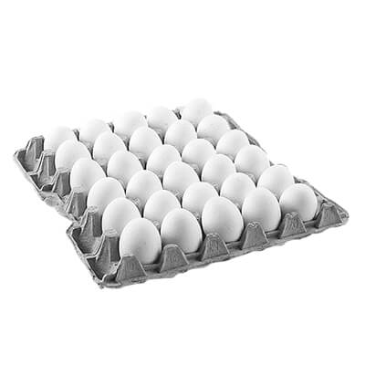 Egg-Carton-Paper-Tray